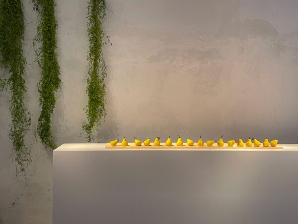 FUTURA PROJECT__image_34