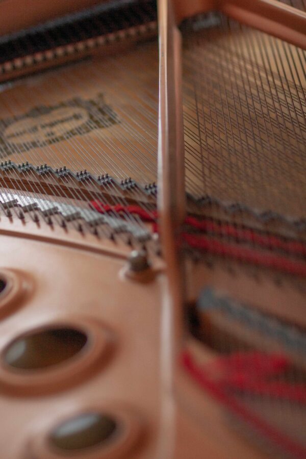 FUTURA PROJECT__image_39