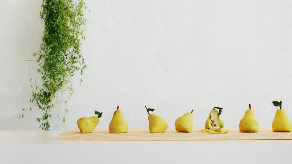 FUTURA PROJECT__image_7