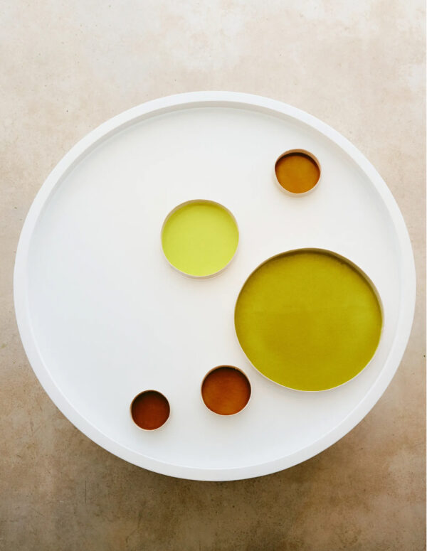 FUTURA PROJECT__image_5