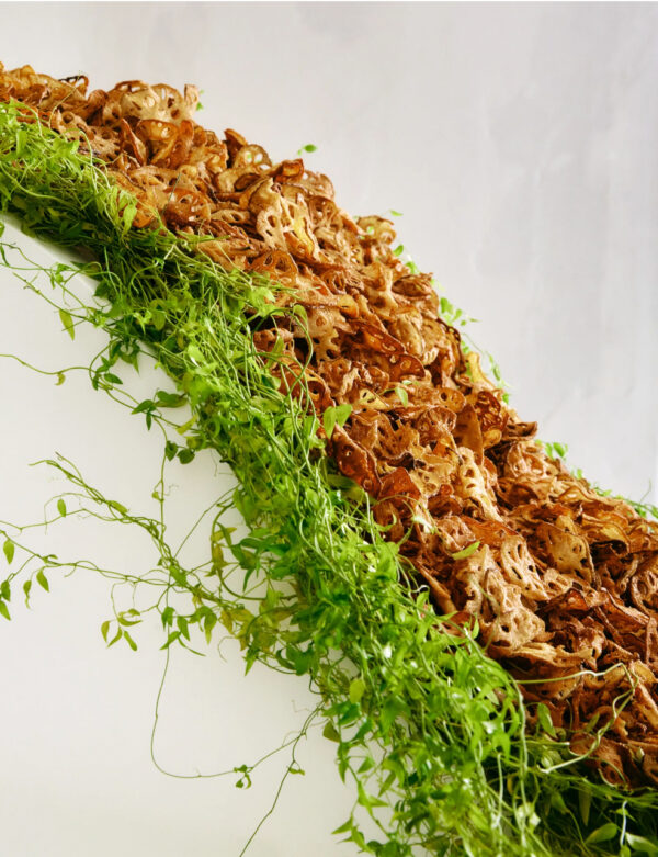 FUTURA PROJECT__image_35